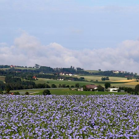 Ferienhof Neundlinger Niederwaldkirchen Eksteriør billede